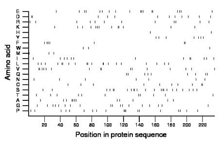 amino acid map