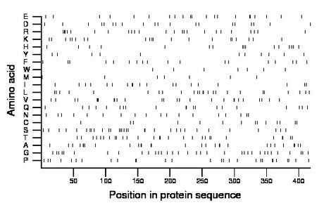 amino acid map