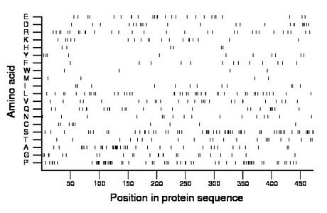 amino acid map