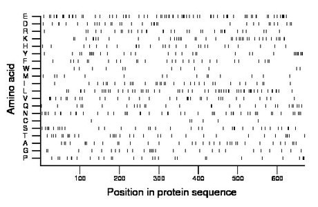 amino acid map