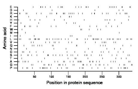 amino acid map