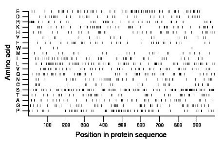 amino acid map