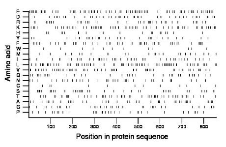 amino acid map