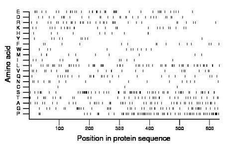 amino acid map