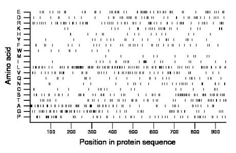 amino acid map