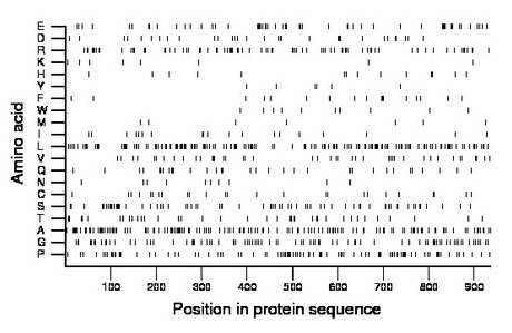 amino acid map