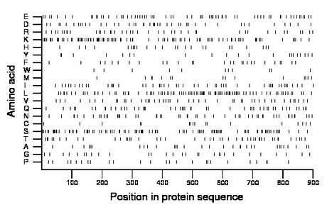 amino acid map