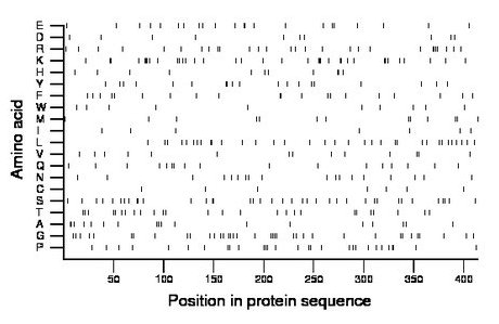 amino acid map