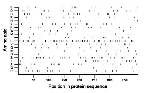 amino acid map