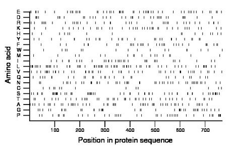 amino acid map