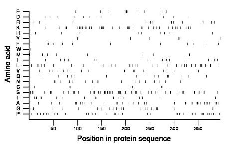 amino acid map