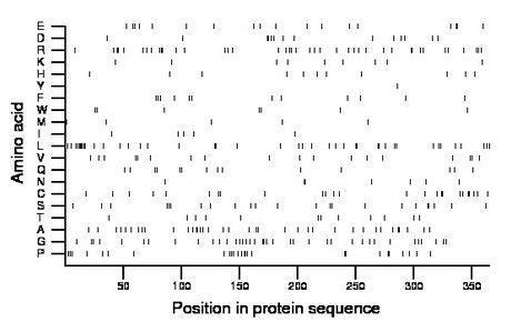 amino acid map