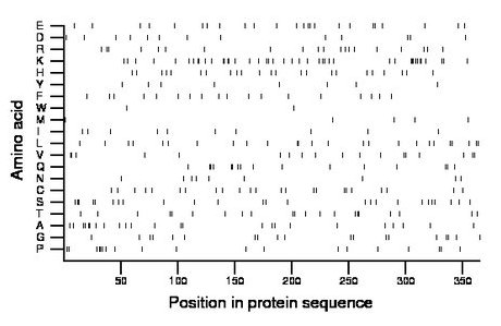 amino acid map