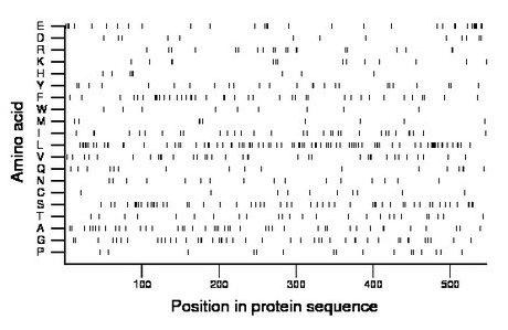 amino acid map