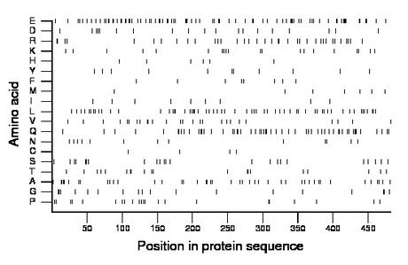 amino acid map