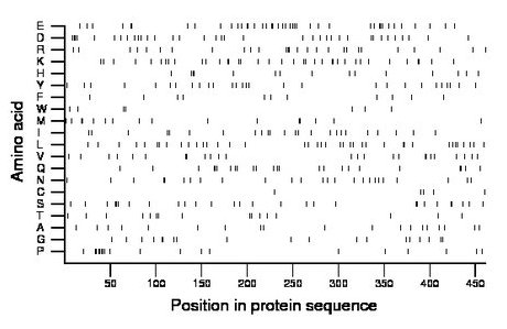 amino acid map