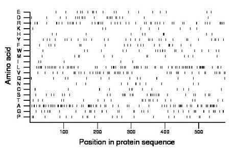 amino acid map