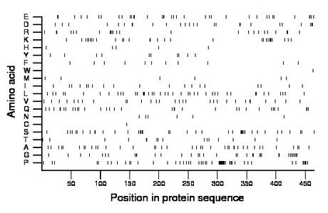 amino acid map