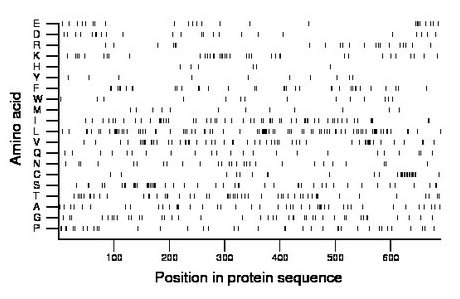 amino acid map