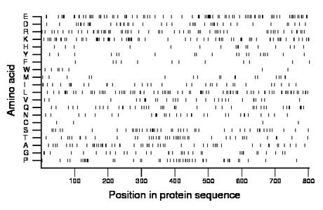 amino acid map