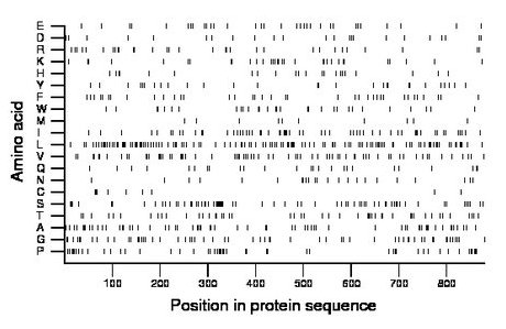 amino acid map