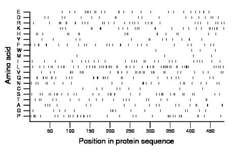 amino acid map