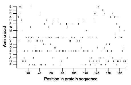 amino acid map