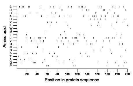 amino acid map