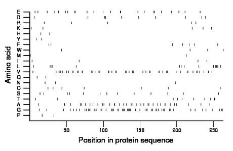 amino acid map