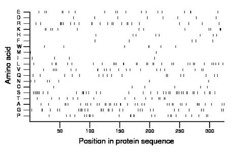 amino acid map