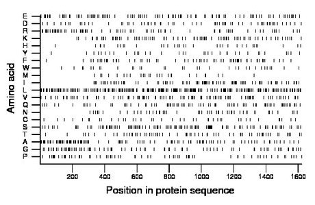 amino acid map