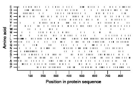 amino acid map