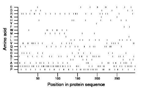 amino acid map