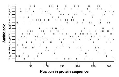 amino acid map