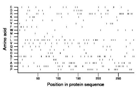 amino acid map