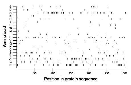 amino acid map