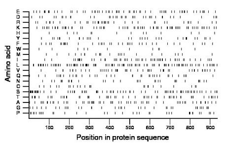 amino acid map