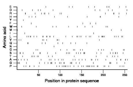 amino acid map