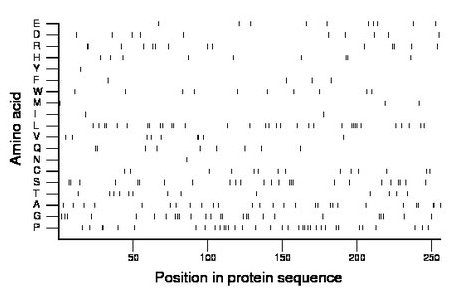 amino acid map