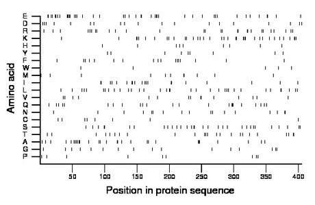 amino acid map