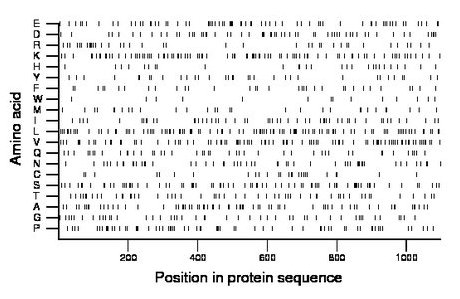 amino acid map