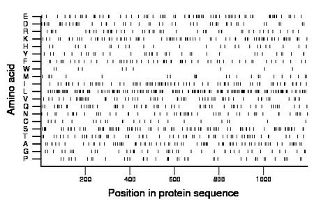 amino acid map