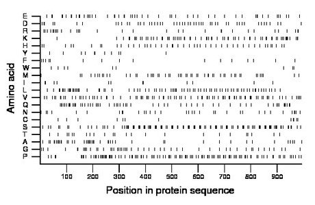 amino acid map