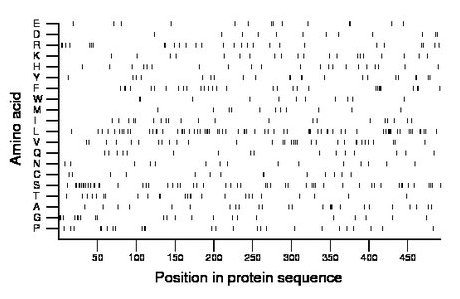 amino acid map