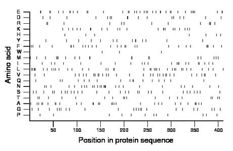 amino acid map