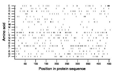 amino acid map