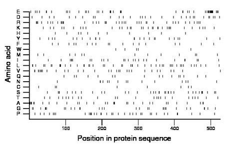 amino acid map