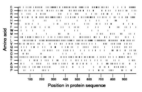 amino acid map