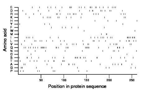 amino acid map