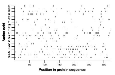 amino acid map